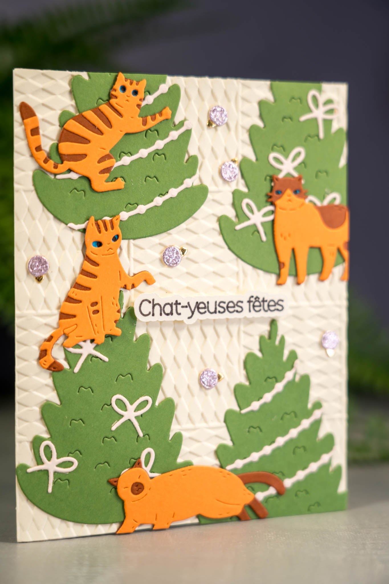 chat-euses-fetes