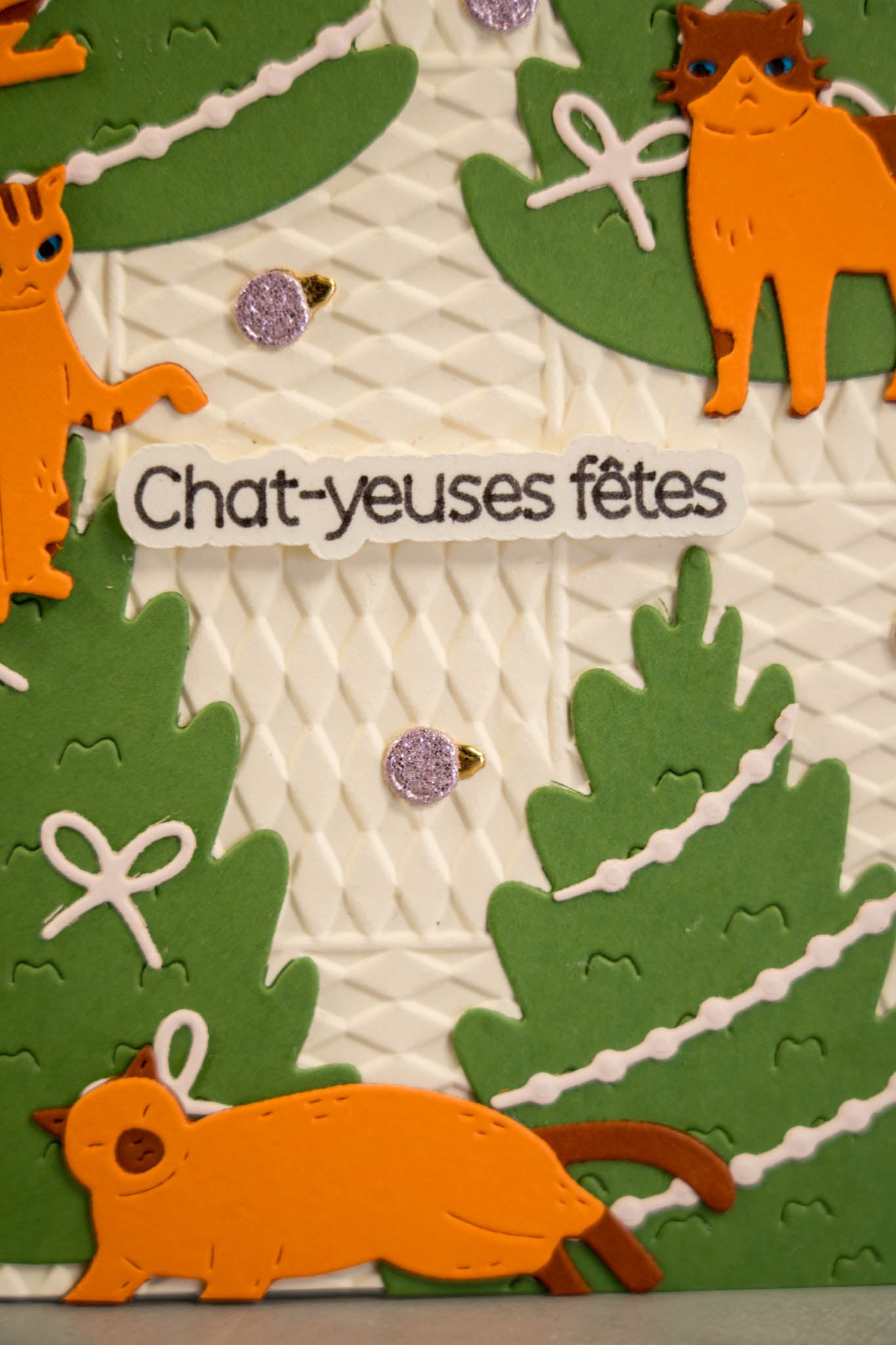 Chat-yeuses fêtes
