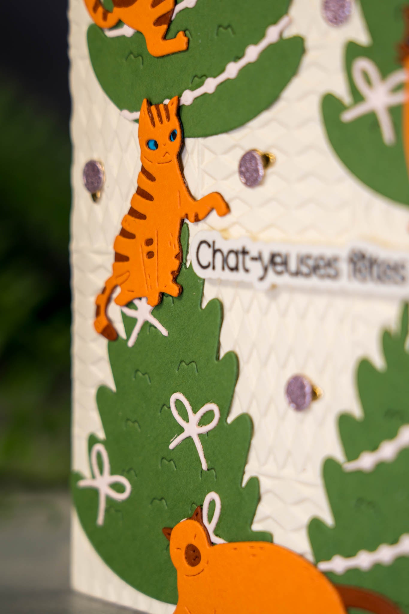 Chat-yeuses fêtes