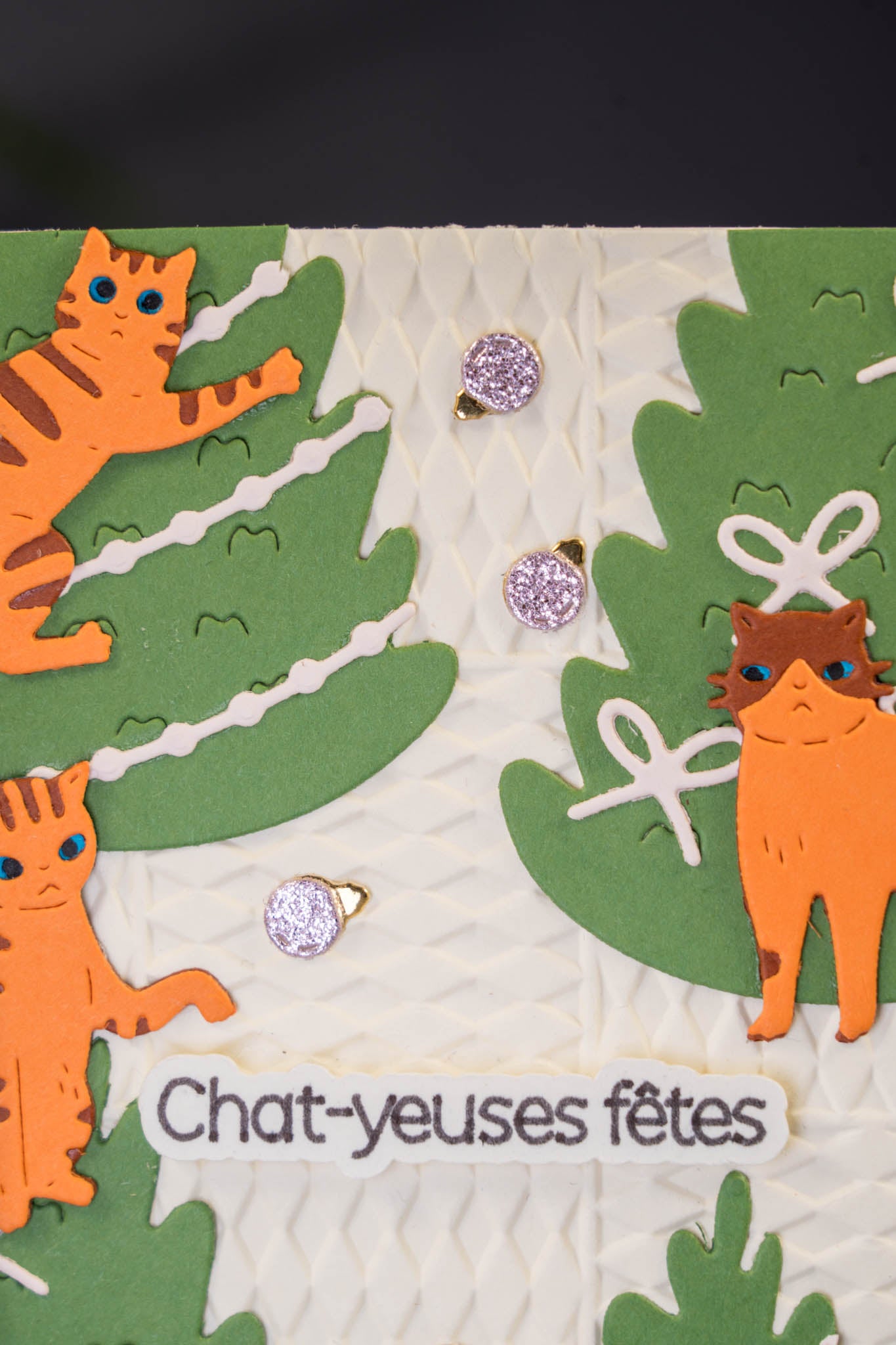 Chat-yeuses fêtes