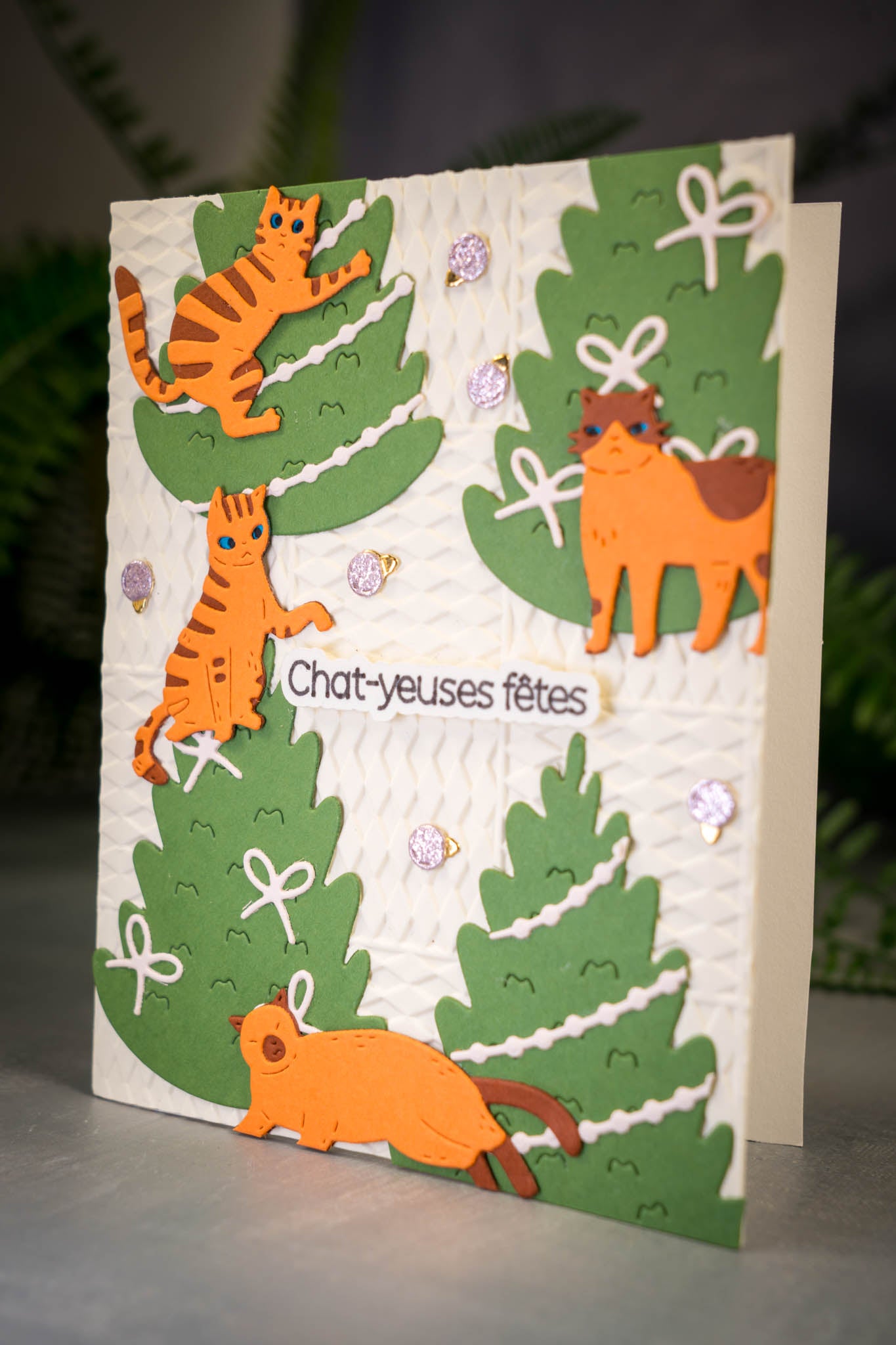 Chat-yeuses fêtes