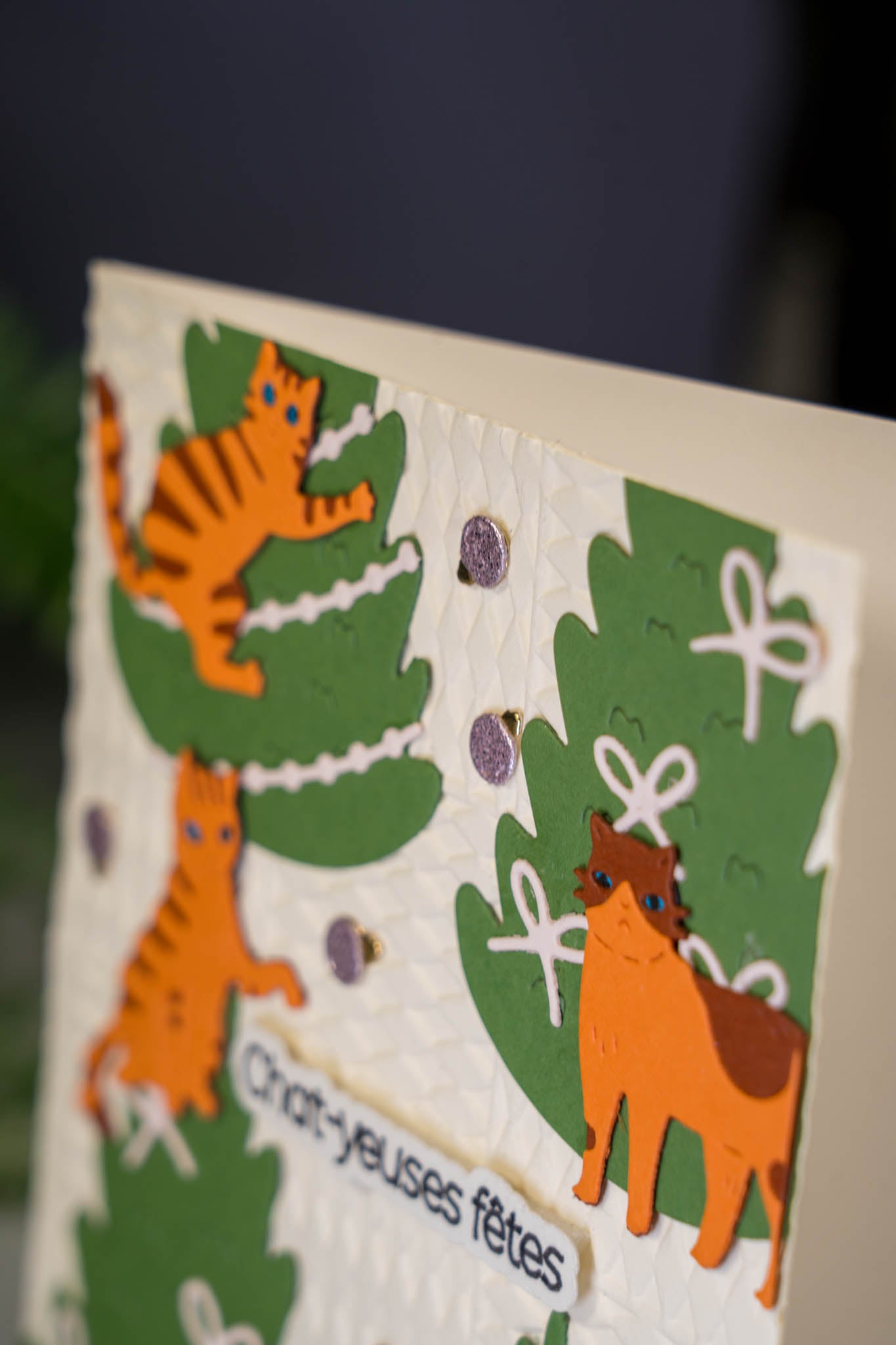 Chat-yeuses fêtes