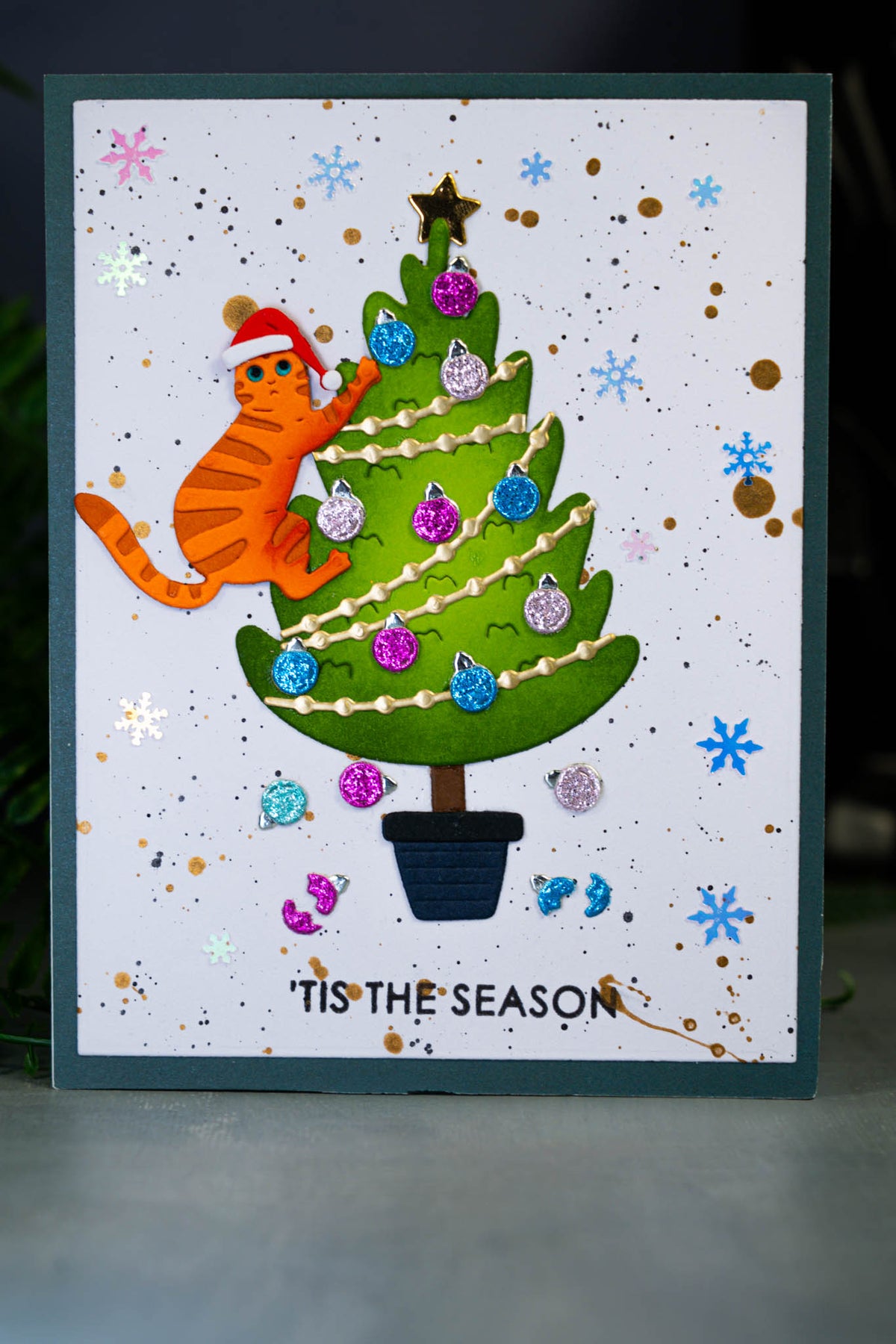 'Tis the Season