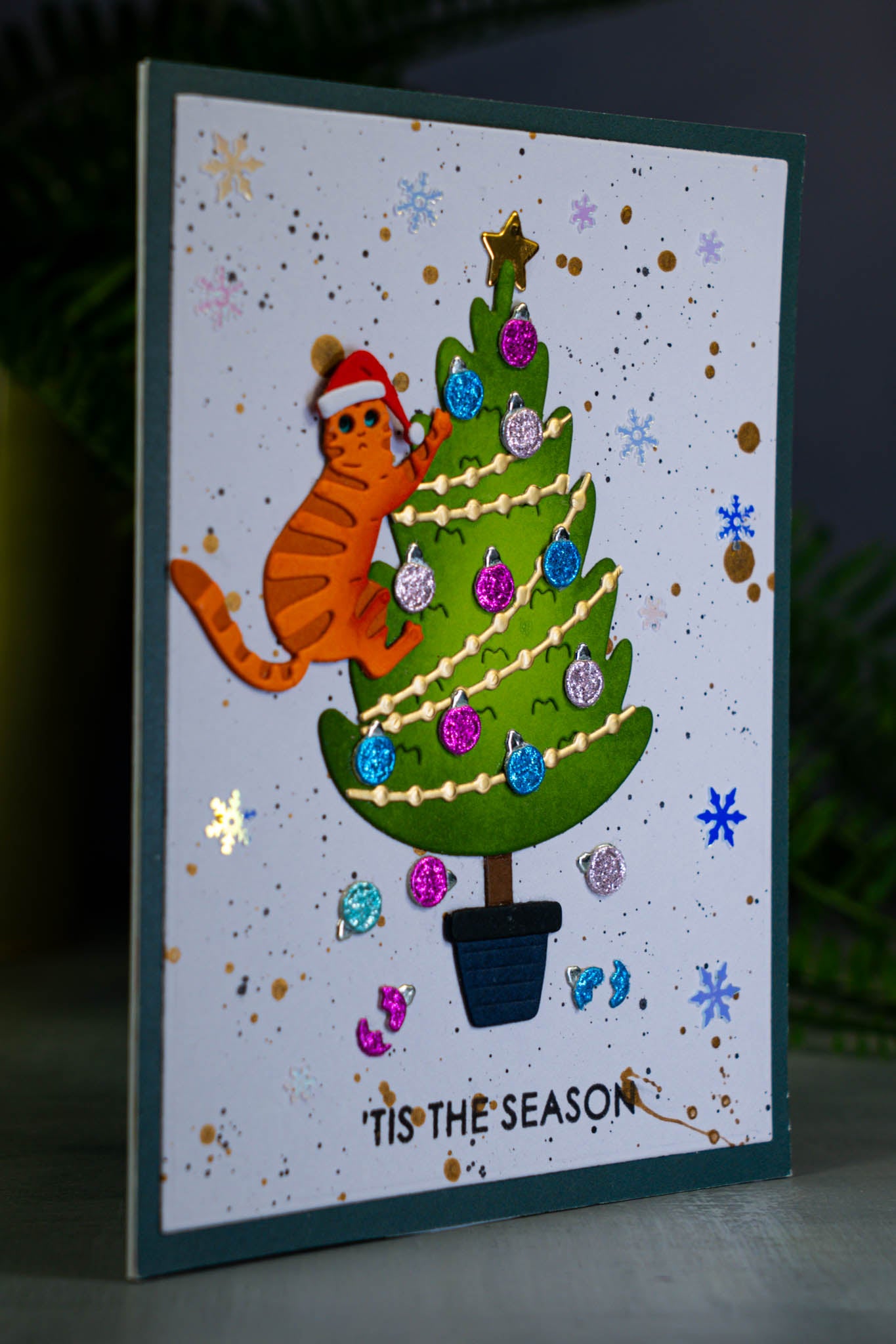 'Tis the Season